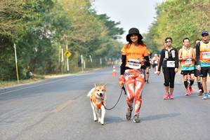 BIB: 40069
                            <button type="button" onclick="openModal(10196304)" class="btn btn-primary btn-sm float-right btn-popup" data-toggle="modal" data-target=".modal-high-quality">
                        <i class="fas fa-shopping-cart"></i> Add to Cart
                    </button>
                                            <button type="button" onclick="isThisMe(10196304, true)" class="btn btn-success btn-sm float-right btn-popup btn-isme hidden" data-toggle="tooltip" data-placement="bottom" title="นี่คือรูปของคุณใช่ไหม คลิกที่นี่เพื่อเอาเข้าอัลบั้ม">
                        <i class="fas fa-plus"></i> Add to album
                    </button>
                    <button type="button" onclick="isThisMe(10196304, false)" class="btn btn-warning btn-sm float-right btn-popup btn-isnotme hidden">
                        <i class="fas fa-ban"></i> Remove from album
                    </button>